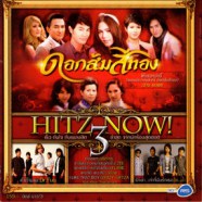 เพลงประกอบละคร - ดอกส้มสีทอง HITZ NOW 3-web